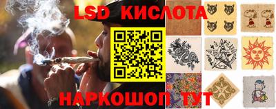 прущие грибы Бийск
