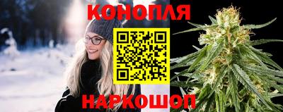 прущие грибы Бийск