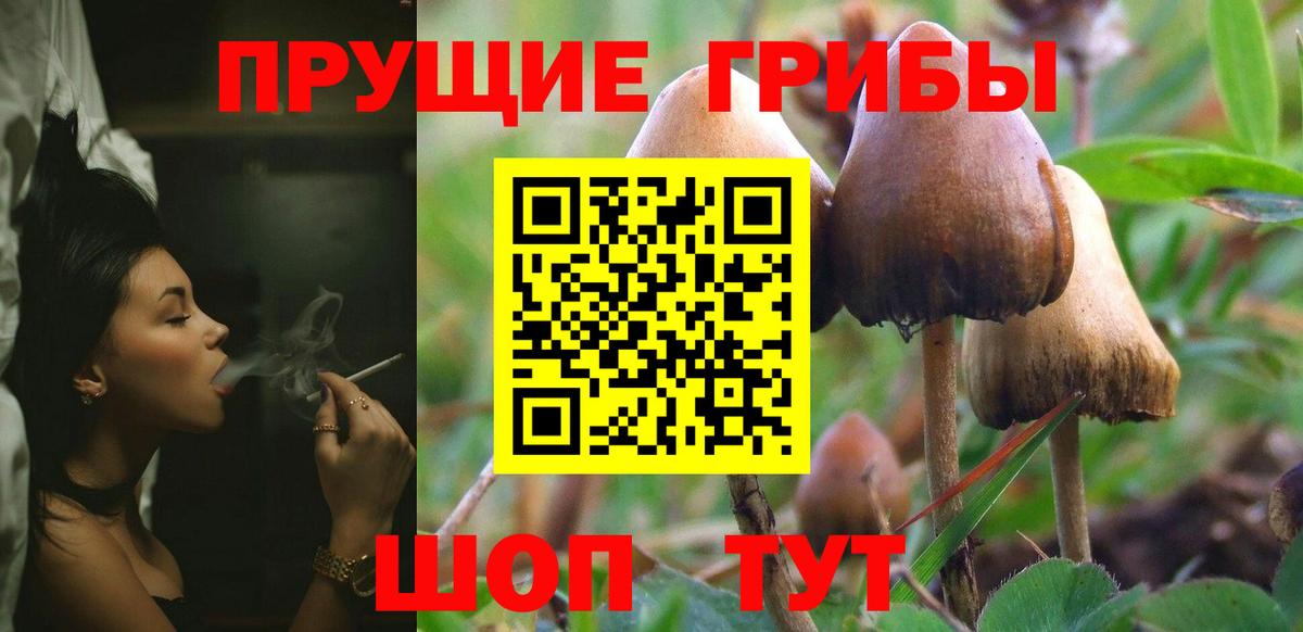 Галлюциногенные грибы Cubensis Кемерово