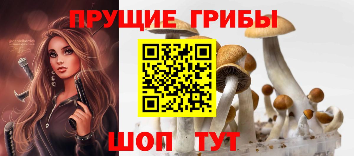 Кемерово  Псилоцибиновые грибы GOLDEN TEACHER  Вход с VPN 